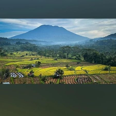 Lumbung Ayu Sari And Spa Sidemen  Exterior photo